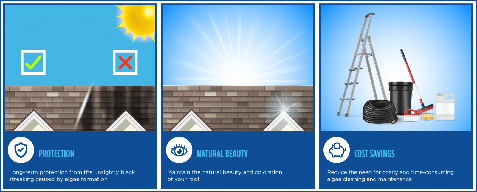 Riedel Roofing and Restoration Images