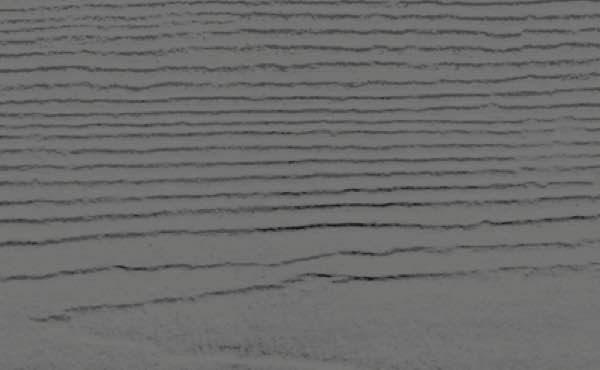Riedel Roofing and Restoration Images