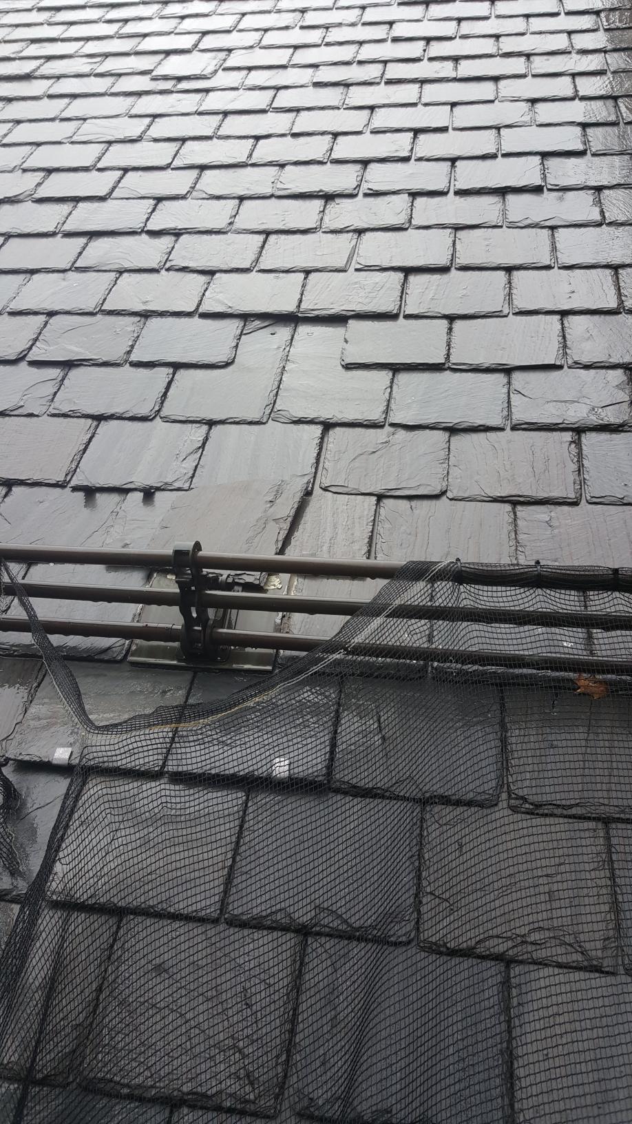 Riedel Roofing Images