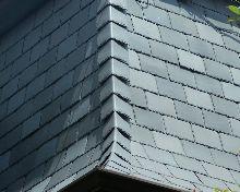 Riedel Roofing Images