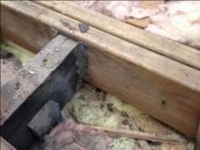 Riedel Roofing and Restoration Images